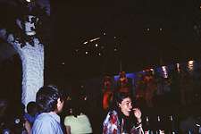 005_3A.jpg