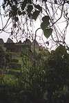 019_17a.jpg